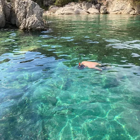 Vassiliki * Paleros