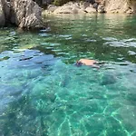 Vassiliki * Palairos