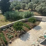 Vassiliki Bed & Breakfast Palairos