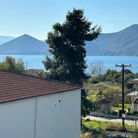 Vassiliki *