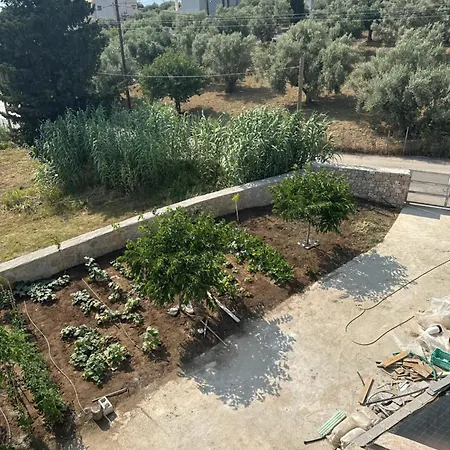 Vassiliki B&B Mesokhórion
